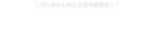 ワンちゃんのことならお任せ！